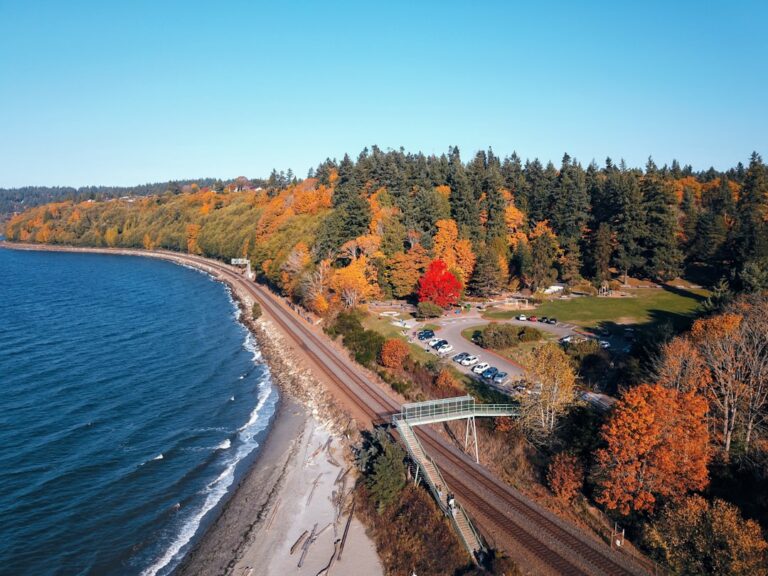 aerial photography of train rail near body of water during daytime