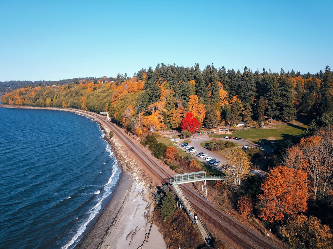 aerial photography of train rail near body of water during daytime