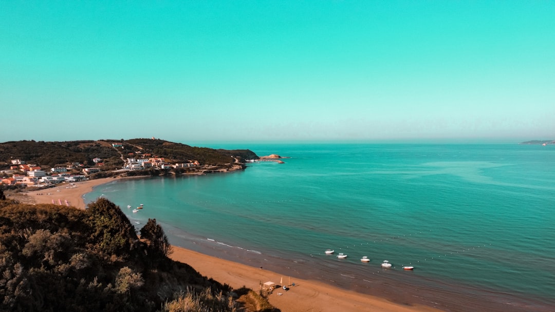 a view of a beach with boats in the water