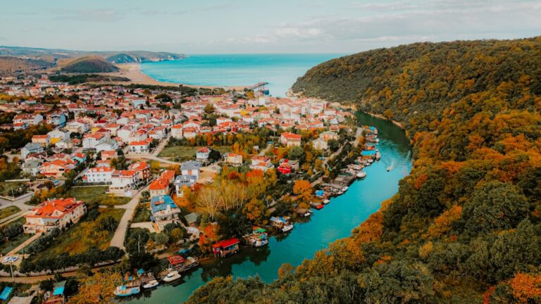 an aerial view of a small town by a river