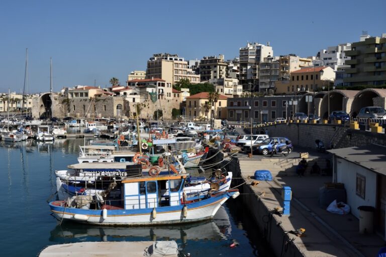 boats in a harbor