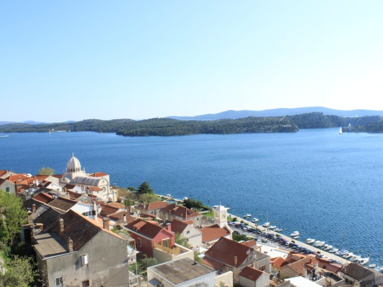 a view of a city next to a body of water