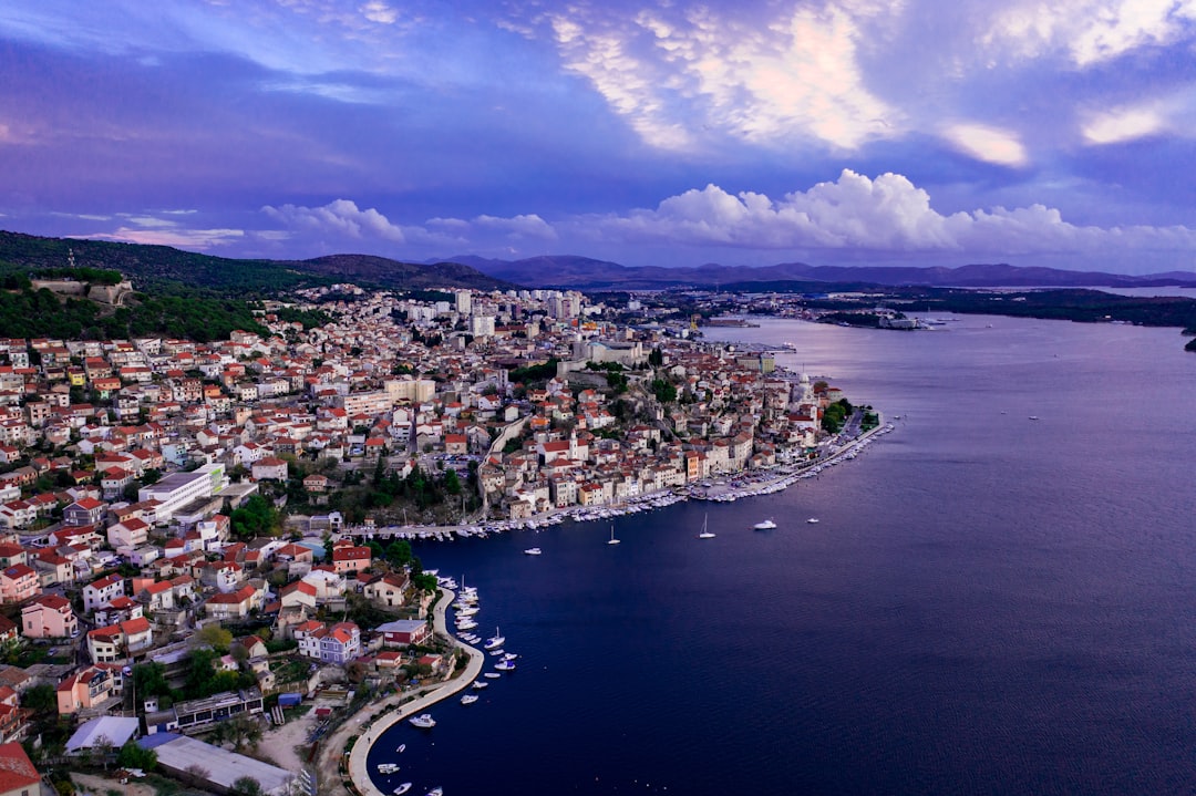 birds eye photography of houses near body of water