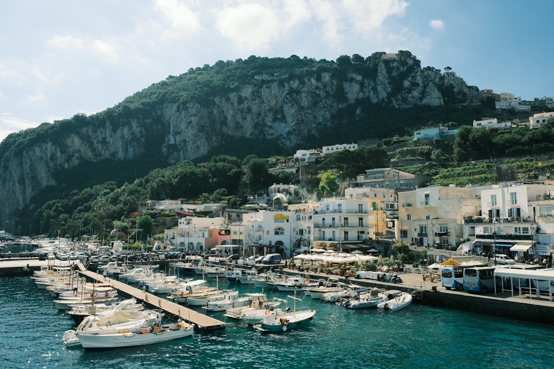 A harbor filled with lots of boats next to a mountain