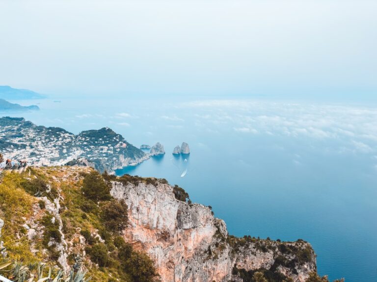 A view of the ocean from the top of a mountain