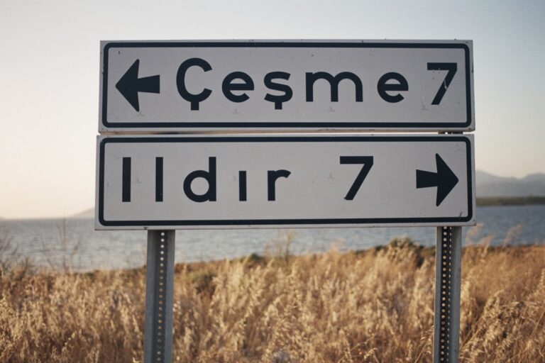a couple of street signs sitting in front of a body of water