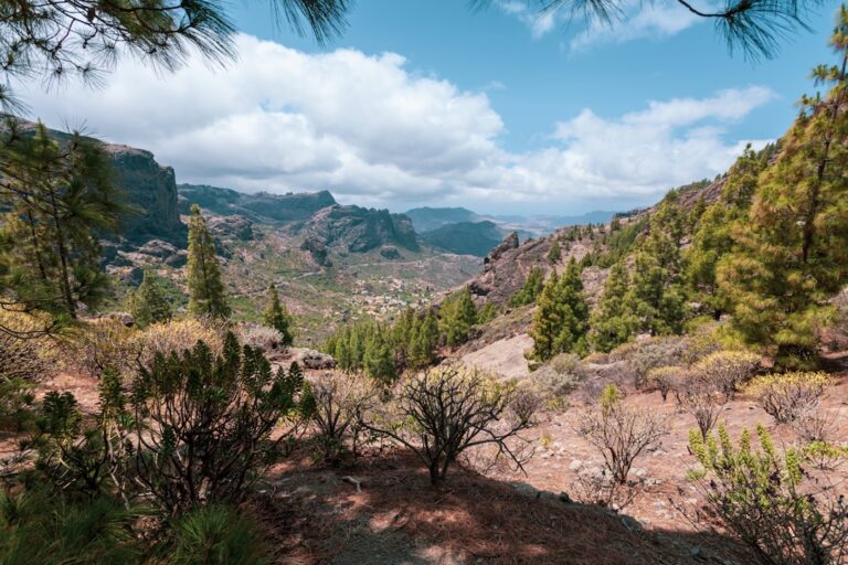 a view of a mountain range with trees and mountains in the background