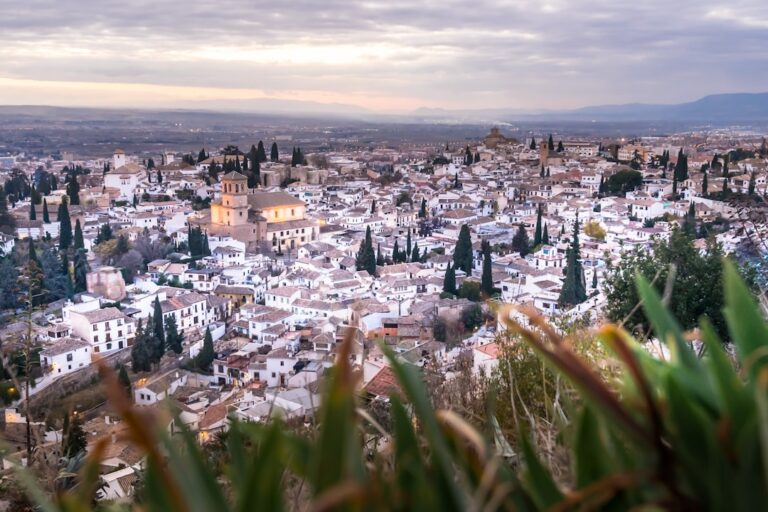 Panoramic view of a white city with cypress trees.