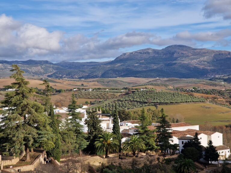 a scenic view of a town with mountains in the background