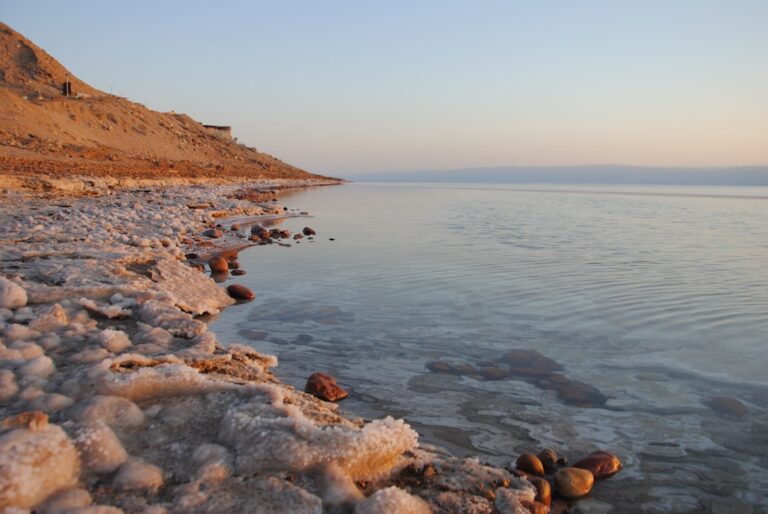 The sea's shoreline is illuminated by the sun.