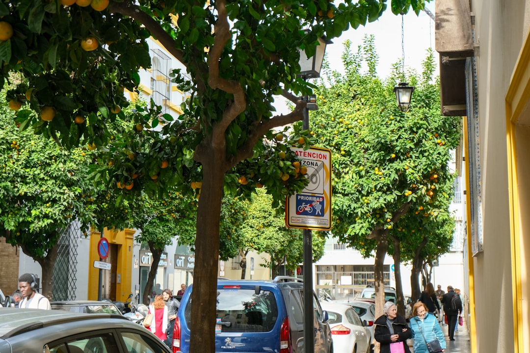 Street lined with orange trees and people walking.