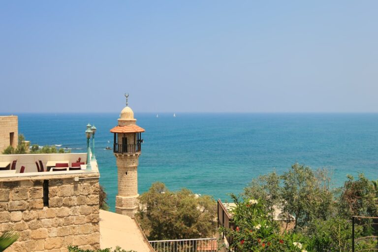 a view of the ocean from the top of a hill