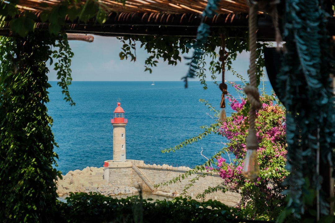 A view of a light house through some bushes